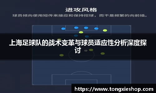 上海足球队的战术变革与球员适应性分析深度探讨